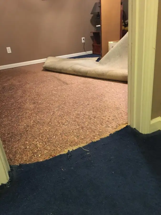 Carpet pad removal revealing water damage during Water Mitigation Services in Gladstone
