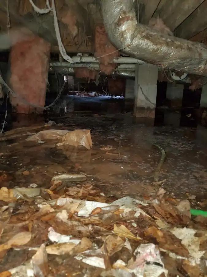 Crawl space flood assessment for Commercial Water Damage Restoration in Gladstone
